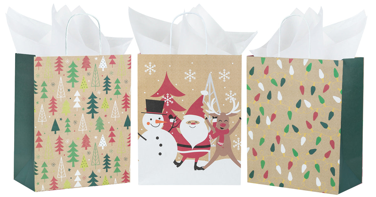 Paper Craft Gift Bag with Handle Assorted Christmas Prints - 5 Pack –  Acapsule Toys and Gifts